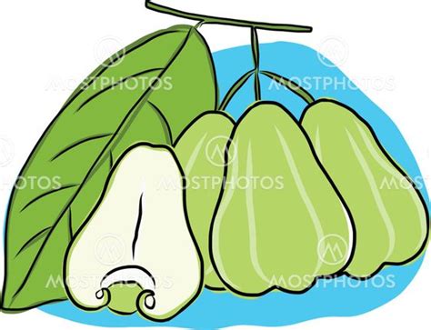 makopa clipart|Makopa: A beginner's guide .